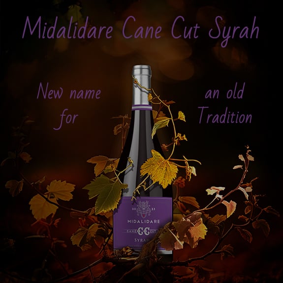 tablet accent banner 23