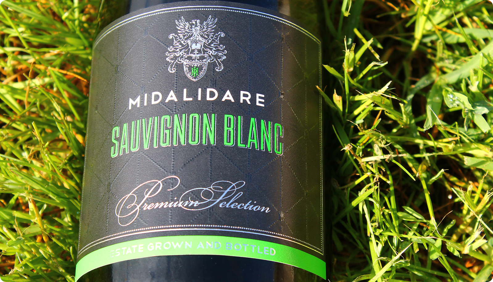 Sauvignon Blanc vs Pinot Gris: Similarities