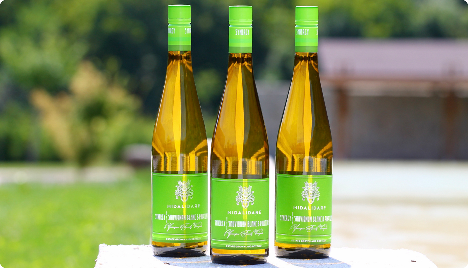 Hard to choose between both varieties? Try Synergy