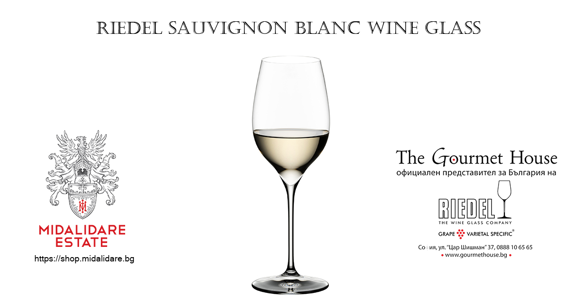Sauvignon-Blanc-Wine-Glass