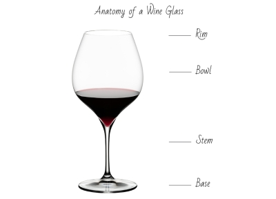 Wine & Glass pairing: Guide to different types of wine glasses with stem - Anatomy