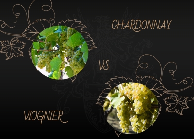 Chardonnay vs Viognier