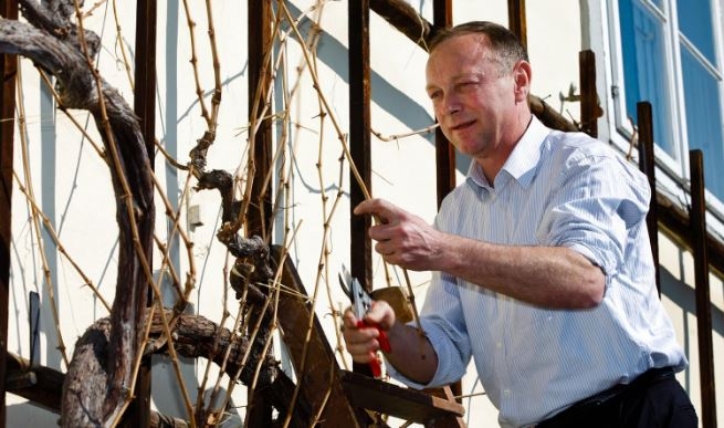 Prunning time in Slovenia
