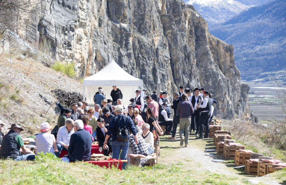 Vine Pruning Festival in Chamoson
