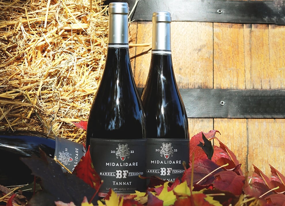 Midalidare’s Grape Varieties: Tannat – The variety and the terroirs