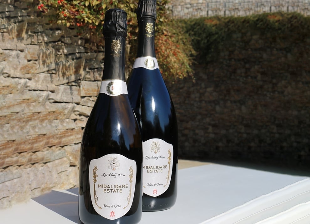 Sparkling Wine Guide: Blanc de Noirs