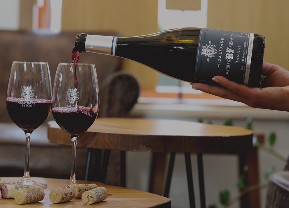 When the passion for wine meets innovation