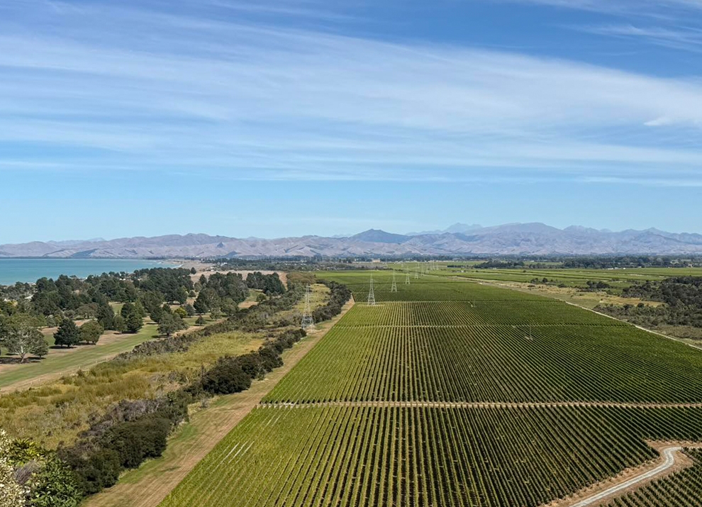 Central Otago: Cromwell