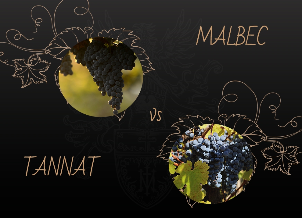 Malbec vs Tannat
