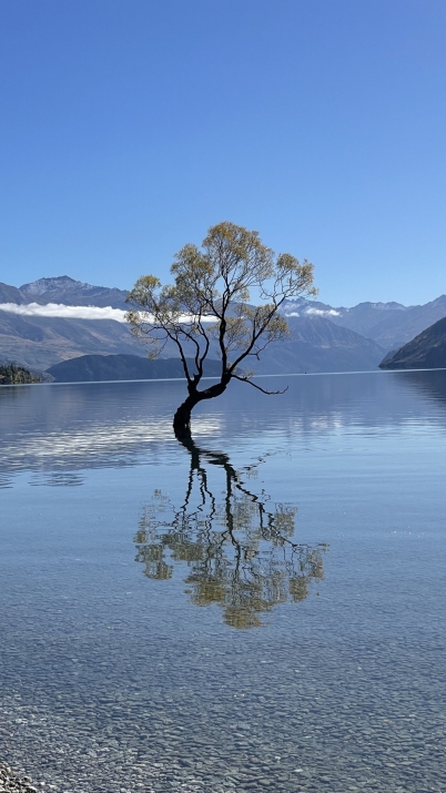 New Zealand photo by Aleksiev