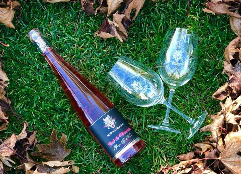 Midalidare’s Grape Varieties: Mourvedre wines serving & storage