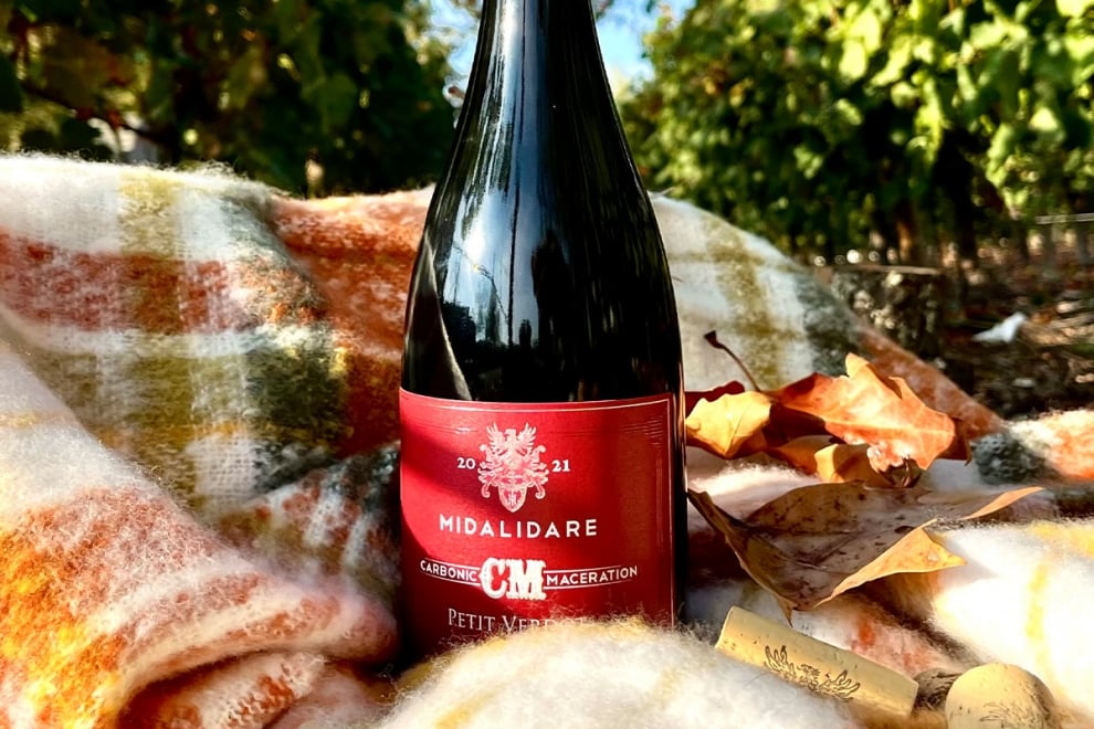 Midalidare Carbonic Maceration Petit Verdot