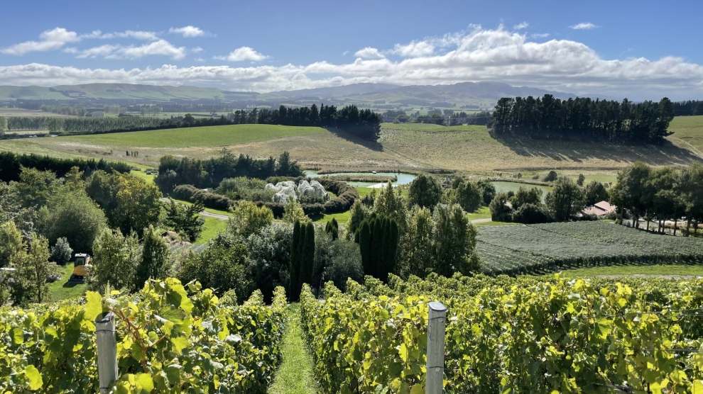 Craiglochart vineyard 2023_1