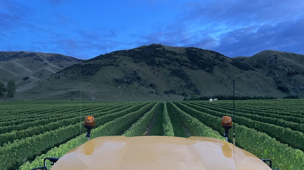 Craiglochart vineyard 2023_4