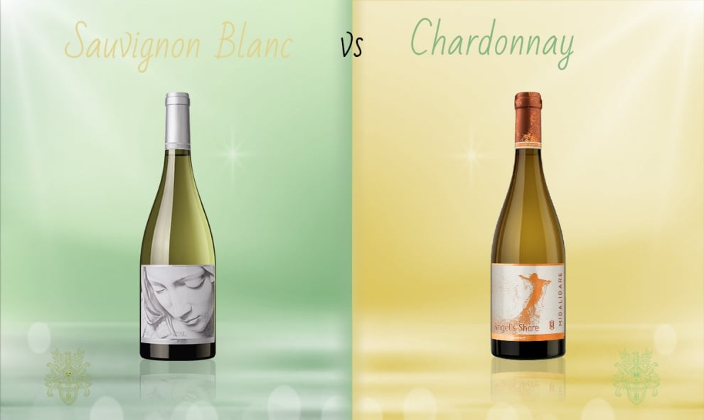 Sauvignon Blanc vs Chardonnay