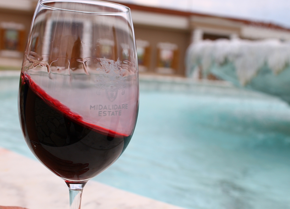 Wine & Glass pairing: Do specific wine glasses make a difference?