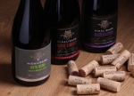 Blend & Trend: Trendy wine blends by Midalidare, vol. 2